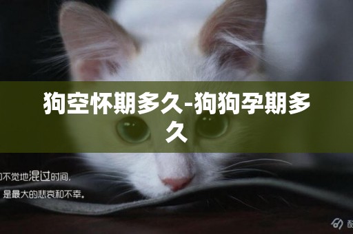 狗空懷期多久-狗狗孕期多久