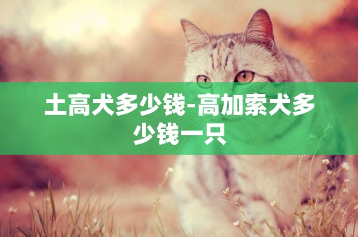 土高犬多少錢-高加索犬多少錢一只