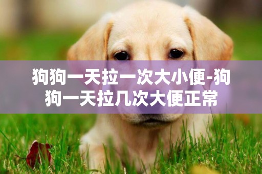 狗狗一天拉一次大小便-狗狗一天拉幾次大便正常