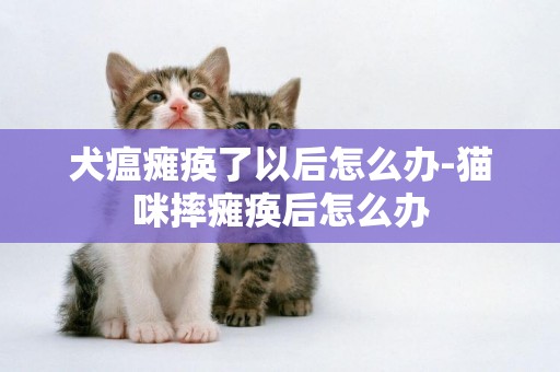 犬瘟癱瘓了以后怎么辦-貓咪摔癱瘓后怎么辦