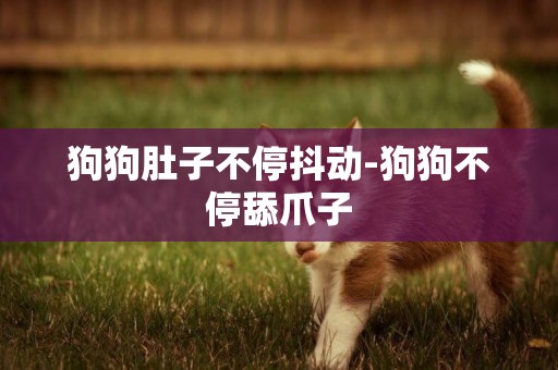 狗狗肚子不停抖動-狗狗不停舔爪子