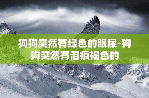 狗狗突然有綠色的眼屎-狗狗突然有淚痕褐色的