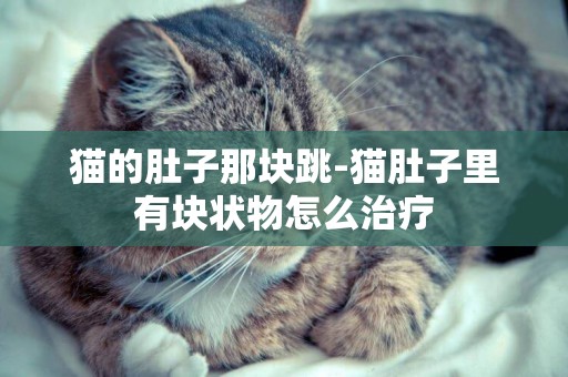 貓的肚子那塊跳-貓肚子里有塊狀物怎么治療