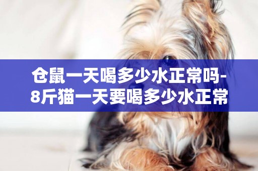 倉鼠一天喝多少水正常嗎-8斤貓一天要喝多少水正常