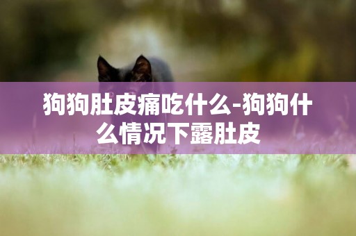 狗狗肚皮痛吃什么-狗狗什么情況下露肚皮