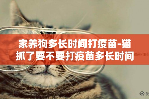 家養狗多長時間打疫苗-貓抓了要不要打疫苗多長時間打