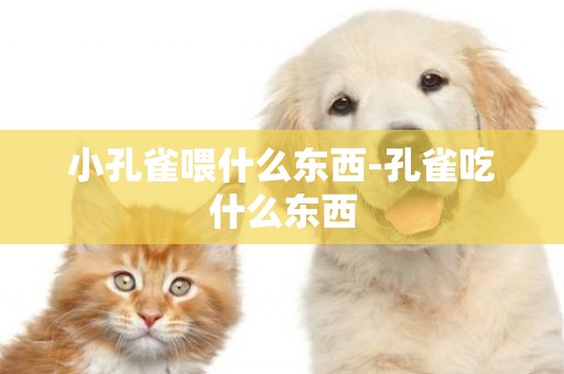 小孔雀喂什么東西-孔雀吃什么東西