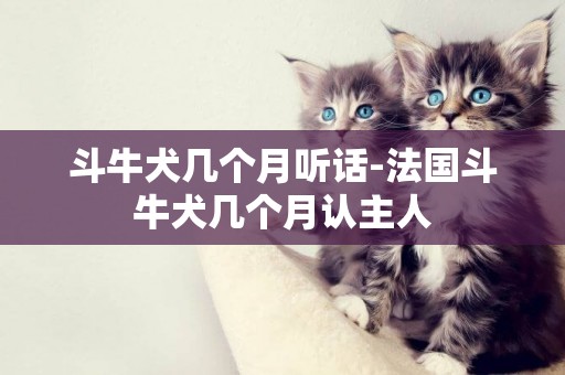 斗牛犬幾個月聽話-法國斗牛犬幾個月認主人