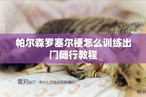 帕爾森羅塞爾梗怎么訓練出門隨行教程