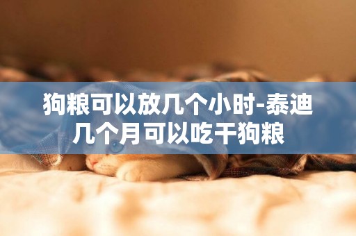 狗糧可以放幾個小時-泰迪幾個月可以吃干狗糧