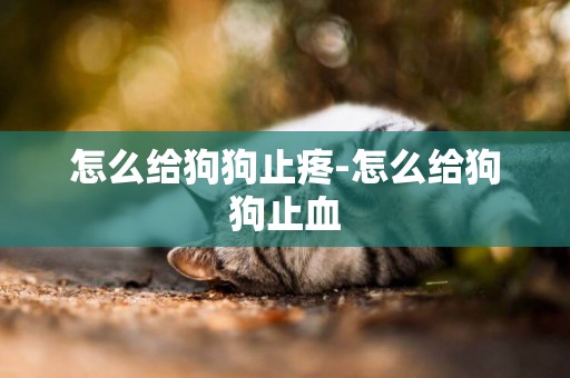 怎么給狗狗止疼-怎么給狗狗止血