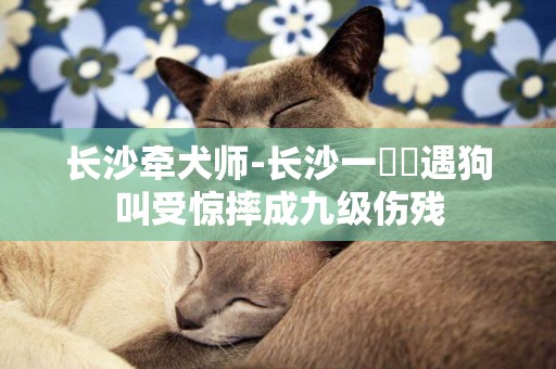 長沙牽犬師-長沙一娭毑遇狗叫受驚摔成九級傷殘