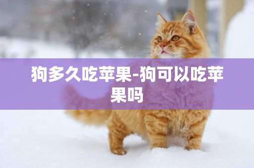 狗多久吃蘋果-狗可以吃蘋果嗎