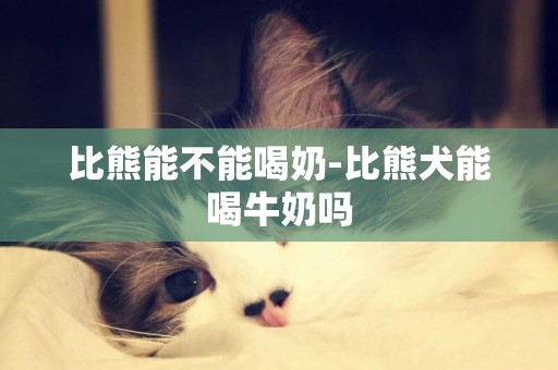 比熊能不能喝奶-比熊犬能喝牛奶嗎