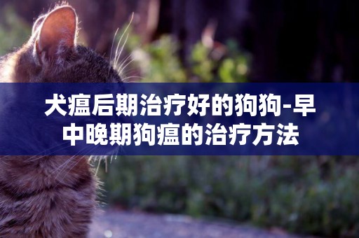 犬瘟后期治療好的狗狗-早中晚期狗瘟的治療方法