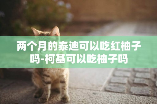 兩個月的泰迪可以吃紅柚子嗎-柯基可以吃柚子嗎