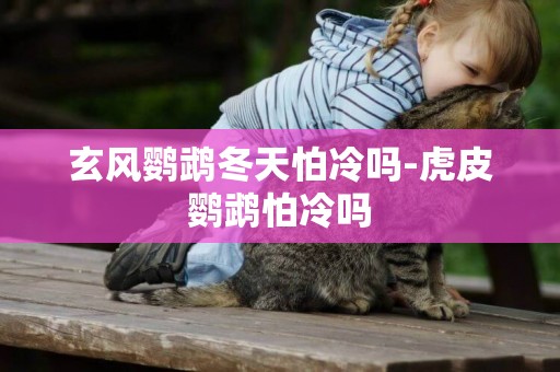 玄風鸚鵡冬天怕冷嗎-虎皮鸚鵡怕冷嗎