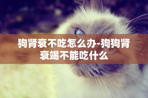 狗腎衰不吃怎么辦-狗狗腎衰竭不能吃什么