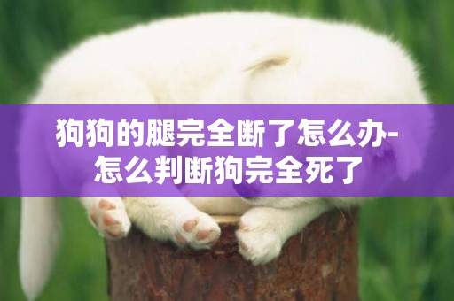狗狗的腿完全斷了怎么辦-怎么判斷狗完全死了