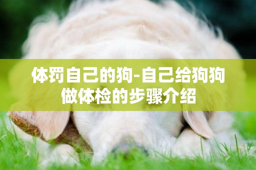 體罰自己的狗-自己給狗狗做體檢的步驟介紹