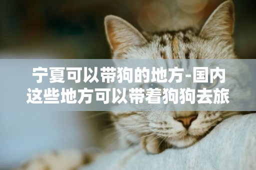 寧夏可以帶狗的地方-國內這些地方可以帶著狗狗去旅行啦