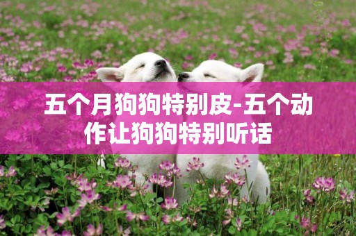 五個月狗狗特別皮-五個動作讓狗狗特別聽話