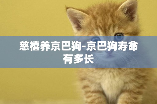 慈禧養京巴狗-京巴狗壽命有多長