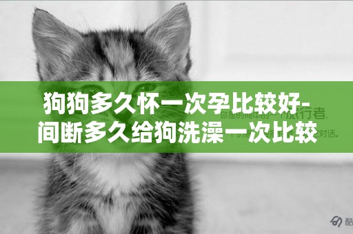 狗狗多久懷一次孕比較好-間斷多久給狗洗澡一次比較好