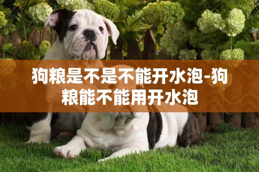 狗糧是不是不能開水泡-狗糧能不能用開水泡