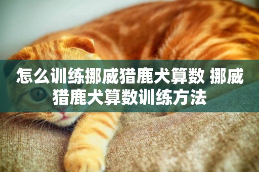 怎么訓練挪威獵鹿犬算數 挪威獵鹿犬算數訓練方法