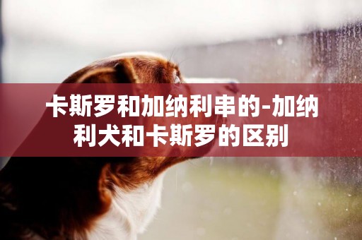 卡斯羅和加納利串的-加納利犬和卡斯羅的區別