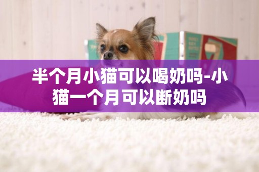 半個月小貓可以喝奶嗎-小貓一個月可以斷奶嗎