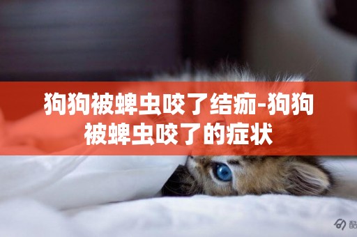 狗狗被蜱蟲咬了結痂-狗狗被蜱蟲咬了的癥狀