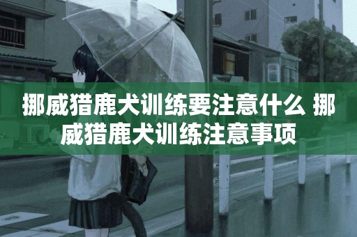 挪威獵鹿犬訓練要注意什么 挪威獵鹿犬訓練注意事項