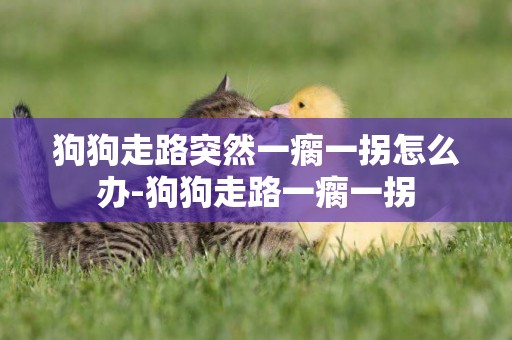 狗狗走路突然一瘸一拐怎么辦-狗狗走路一瘸一拐