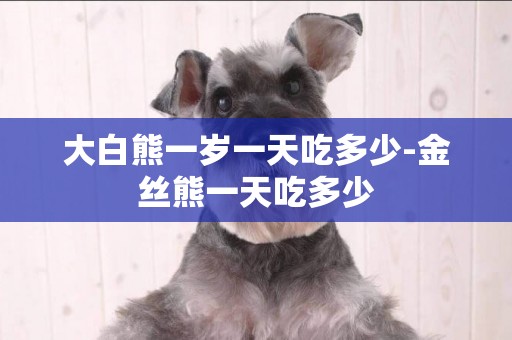 大白熊一歲一天吃多少-金絲熊一天吃多少
