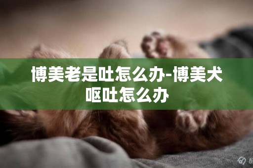 博美老是吐怎么辦-博美犬嘔吐怎么辦