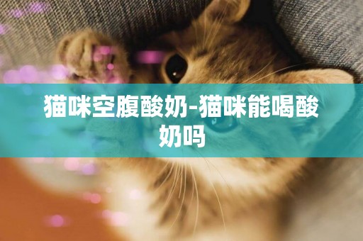 貓咪空腹酸奶-貓咪能喝酸奶嗎