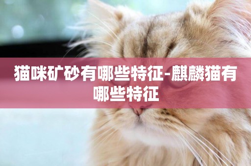 貓咪礦砂有哪些特征-麒麟貓有哪些特征