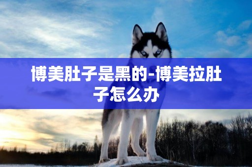 博美肚子是黑的-博美拉肚子怎么辦