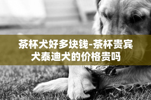茶杯犬好多塊錢-茶杯貴賓犬泰迪犬的價格貴嗎