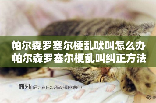 帕爾森羅塞爾梗亂吠叫怎么辦 帕爾森羅塞爾梗亂叫糾正方法