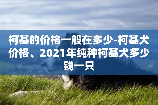 柯基的價格一般在多少-柯基犬價格、2021年純種柯基犬多少錢一只