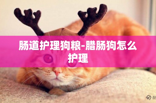 腸道護理狗糧-臘腸狗怎么護理