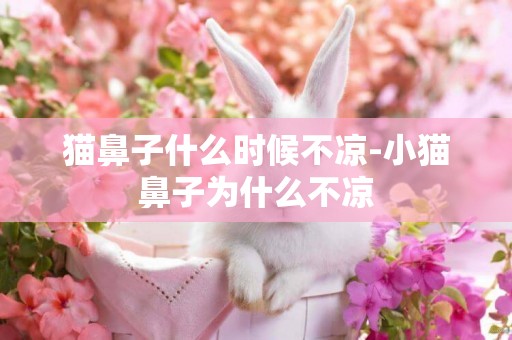 貓鼻子什么時候不涼-小貓鼻子為什么不涼