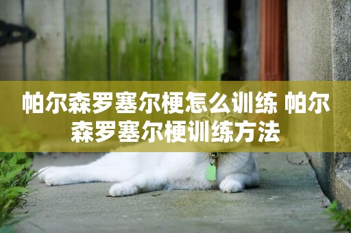 帕爾森羅塞爾梗怎么訓練 帕爾森羅塞爾梗訓練方法