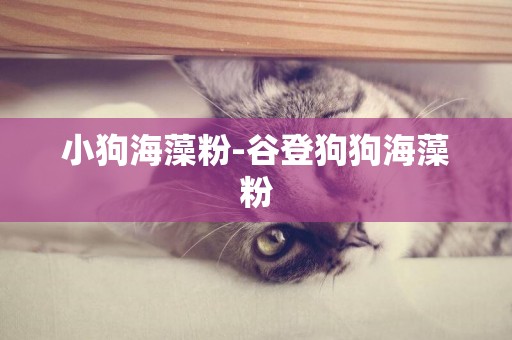 小狗海藻粉-谷登狗狗海藻粉