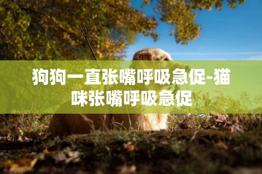 狗狗一直張嘴呼吸急促-貓咪張嘴呼吸急促