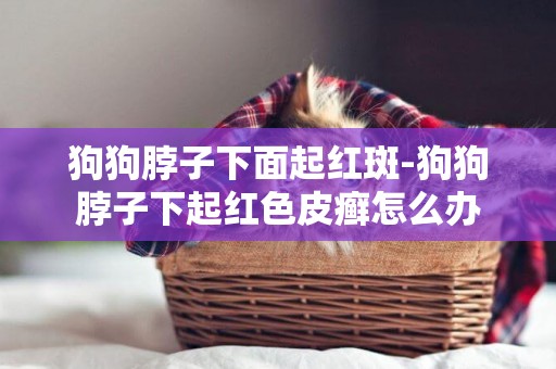狗狗脖子下面起紅斑-狗狗脖子下起紅色皮癬怎么辦