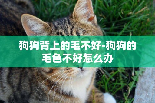 狗狗背上的毛不好-狗狗的毛色不好怎么辦